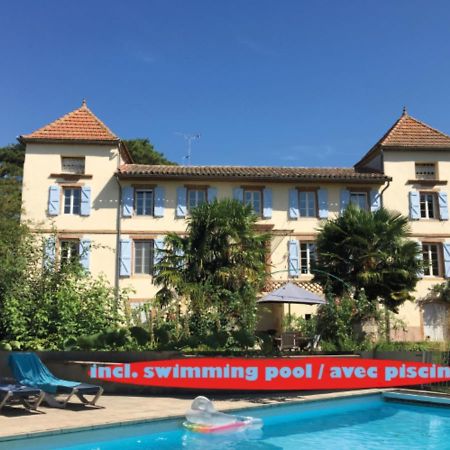 Domaine De Menerque - Petit Chateau Avec Piscine Lisle-sur-Tarn Zewnętrze zdjęcie