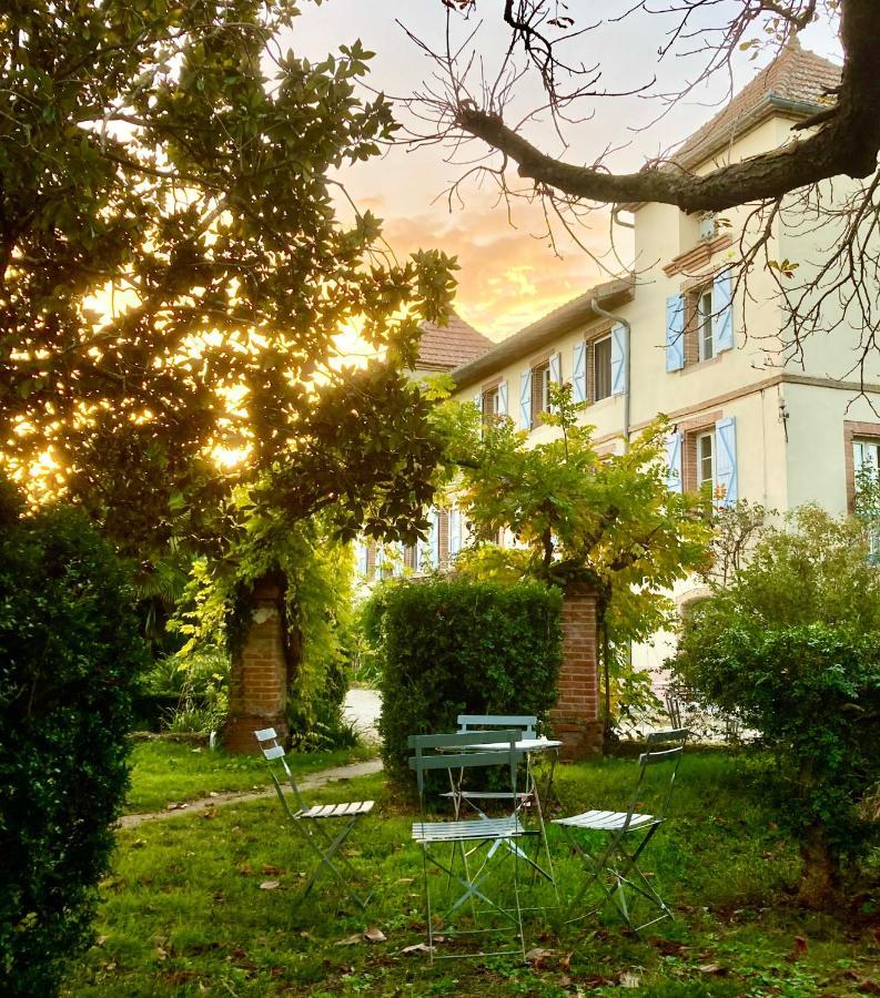 Domaine De Menerque - Petit Chateau Avec Piscine Lisle-sur-Tarn Zewnętrze zdjęcie