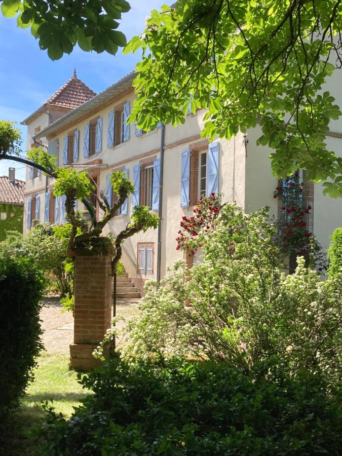 Domaine De Menerque - Petit Chateau Avec Piscine Lisle-sur-Tarn Zewnętrze zdjęcie