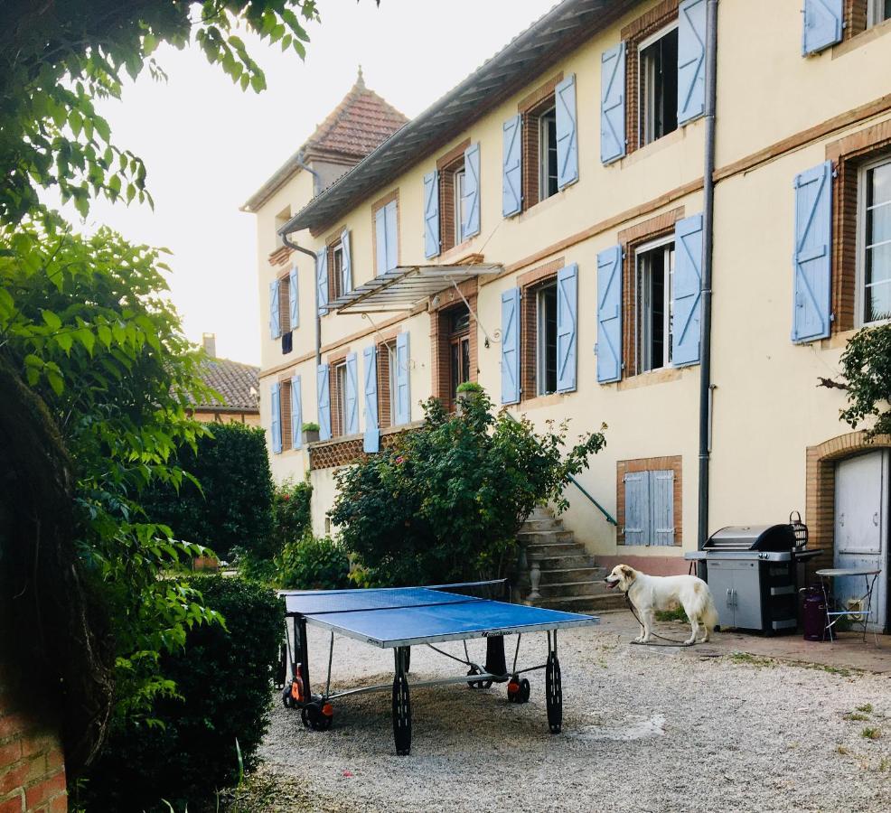 Domaine De Menerque - Petit Chateau Avec Piscine Lisle-sur-Tarn Zewnętrze zdjęcie